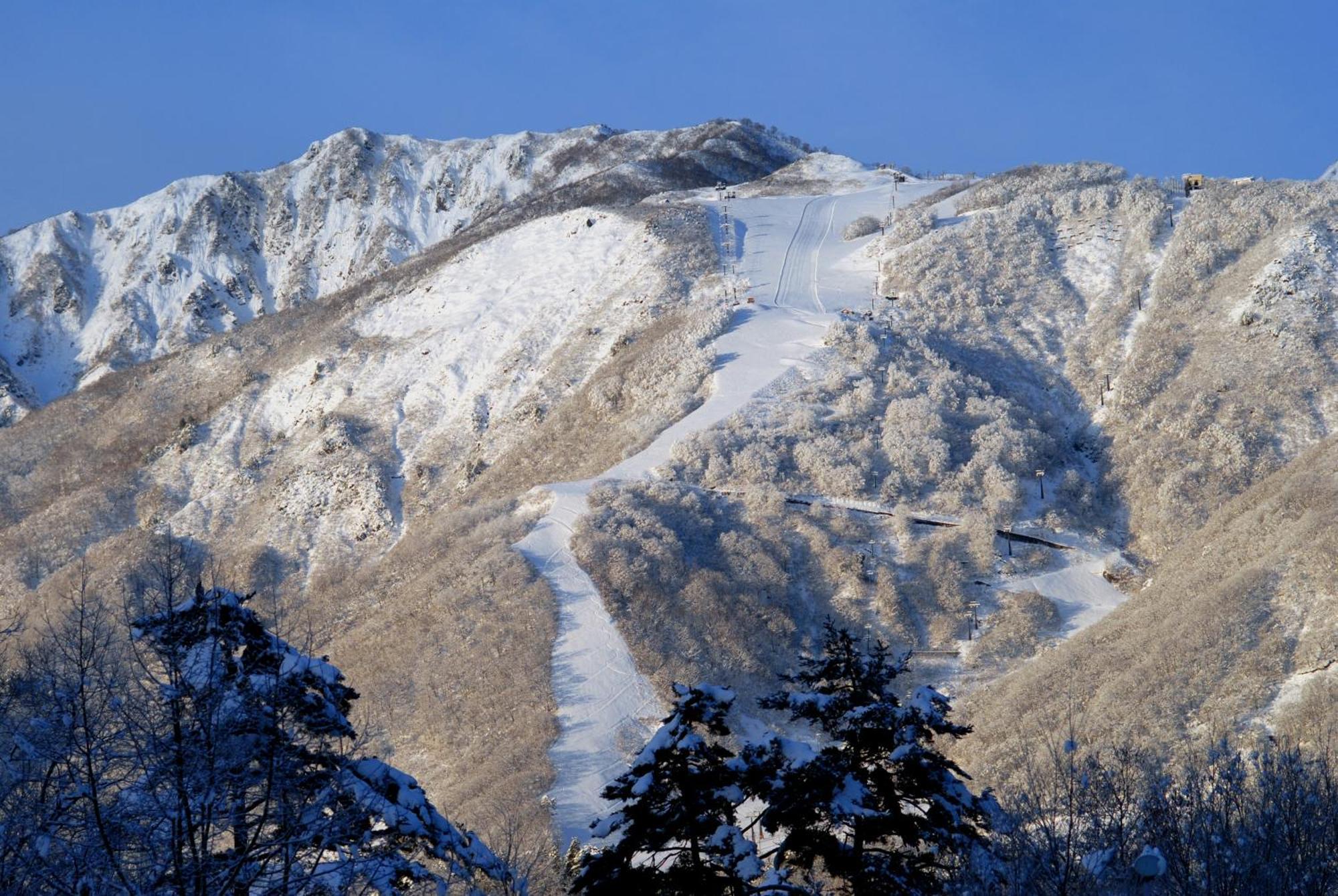 Bears Den Mountain Lodge Hakuba Extérieur photo