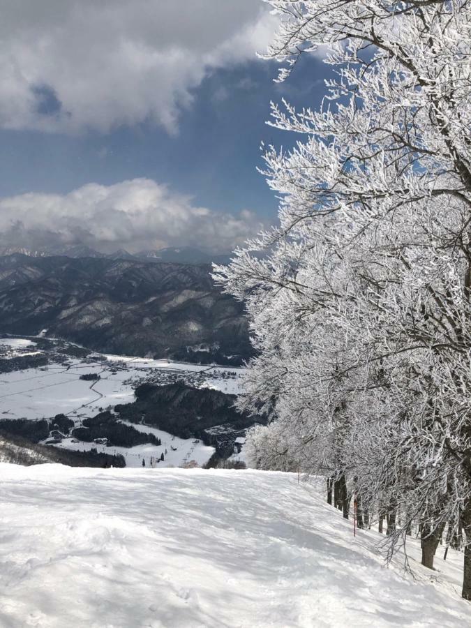 Bears Den Mountain Lodge Hakuba Extérieur photo